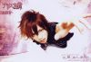set032b1wd.jpg
