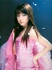 boa_554.jpg
