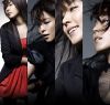 Filename=boa_580.jpg
Filesize=269KB
Dimensions=594x566
Date added=May 23, 2009 boa_580.jpg