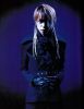 direngrey10.jpg