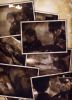 Filename=gackt_2017.jpg
Filesize=495KB
Dimensions=654x900
Date added=Apr 13, 2009 gackt_2017.jpg