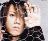 Filename=yuu002.jpg
Filesize=92KB
Dimensions=666x576
Date added=Aug 31, 2008 yuu002.jpg