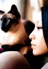 mika_nakashima_89.jpg