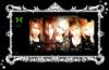 sug2fw3.jpg