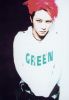 green00.jpg